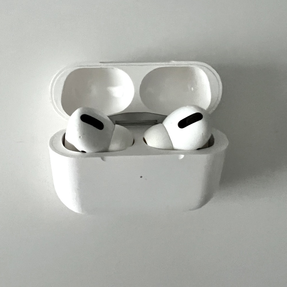 Apple AirPods Pro (charging case + airbuds)